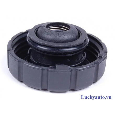 Nắp bình nước phụ xe Mercedes C250- 2105010515- A2105010515 